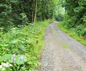 Přimdská naučná stezka